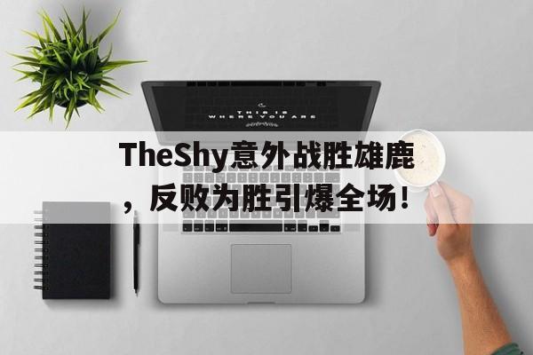 AIYOUXI-TheShy意外战胜雄鹿，反败为胜引爆全场！
